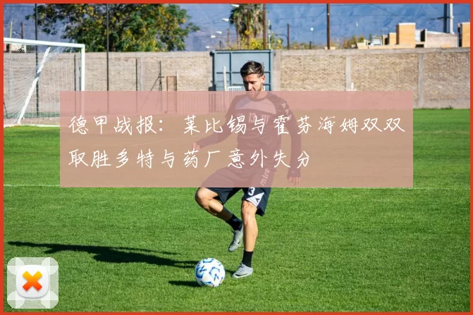 德甲战报：莱比锡与霍芬海姆双双取胜多特与药厂意外失分